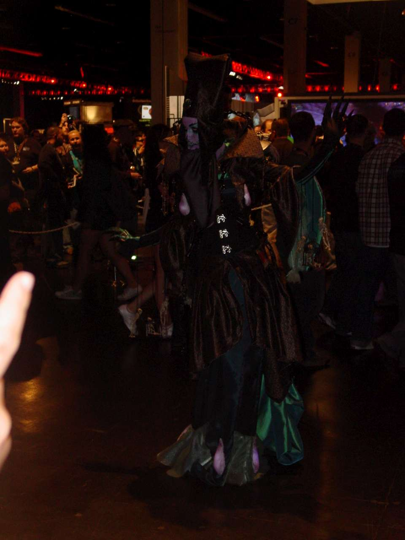 Illustration for article titled BlizzCon 2010 Cosplay Blowout Part Two: Trolling For Chicks